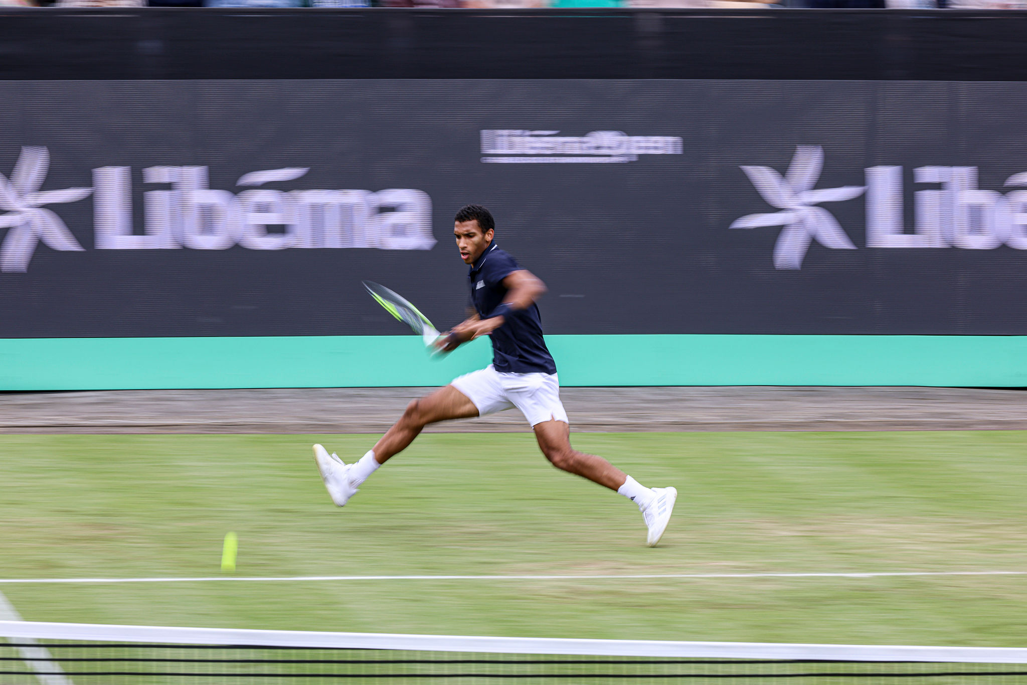Libema Open: Félix Auger-Aliassime eliminato ai quarti